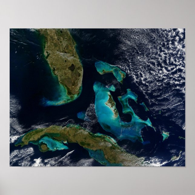 Póster Bahamas, Florida y Cuba (Frente)
