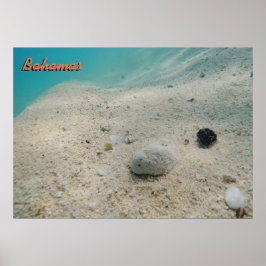 Póster Bahamas submarina