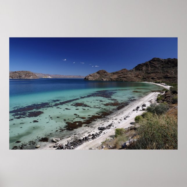 Póster Bahía Baja Concepción (Frente)