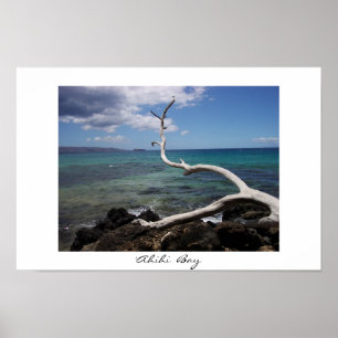 Póster Bahía de Ahihi