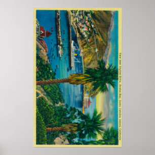 Póster Bahía de Avalon, isla de Santa Catalina del