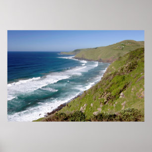 Póster Bahía de café de la costa