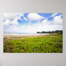 Bahía de Hanalei, flores de playa de Kauai Hawaii