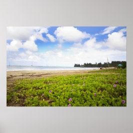 Póster Bahía de Hanalei, flores de playa de Kauai Hawaii