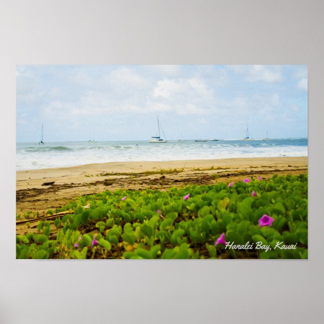 Póster Bahía de Hanalei ・ Kauai Hawaii ・ Escena de playa  (Frente)