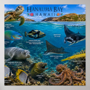 Póster Bahía de Hanauma Hawái