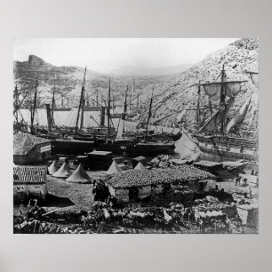 Póster Bahía del Cossack, Crimea, c.1855