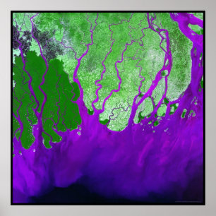Póster Bahía del Delta del Ganges de Bengala