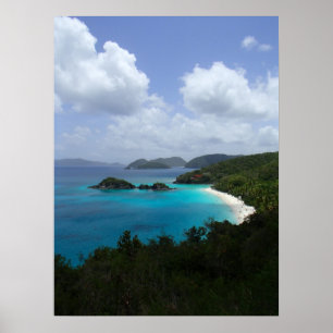 Póster Bahía del tronco, St. John, USVI