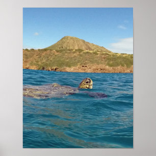Póster Bahía Hawaii de Hanauma