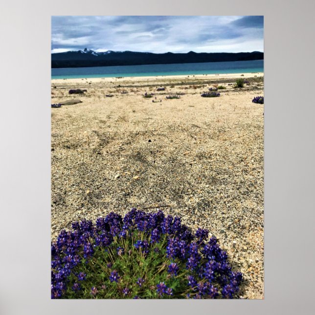 Póster Bahía Simax en el lago Crescent, Oregón (Frente)