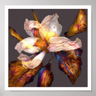 Póster Baile de flores