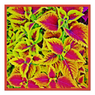 Póster Baile del patrón de las hojas animadas