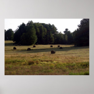 Póster Bails of Hay