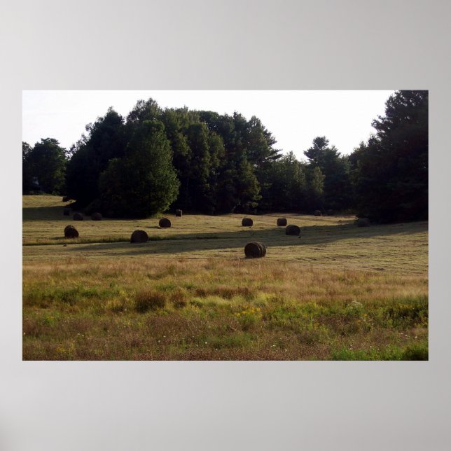 Póster Bails of Hay (Frente)