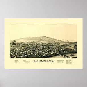 Póster Bainbridge, Mapa Panorámico de Nueva York - 1889