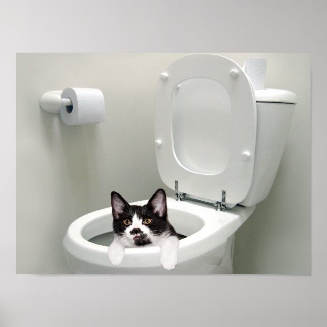 Póster Baja la tapa (Frente)