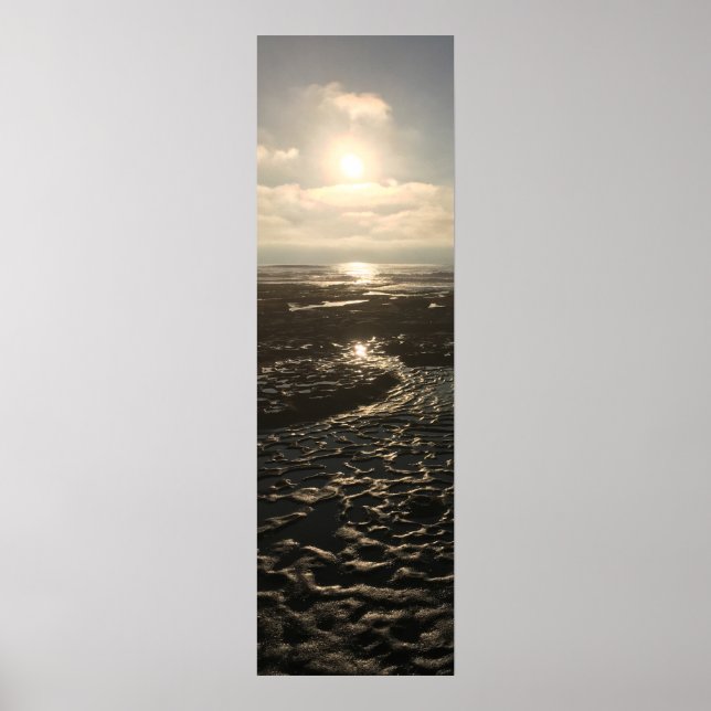 Póster Baja marea en La Jolla (Frente)