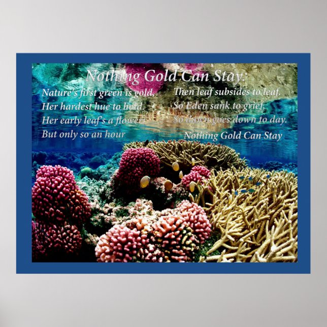 Póster Bajo el agua (Frente)