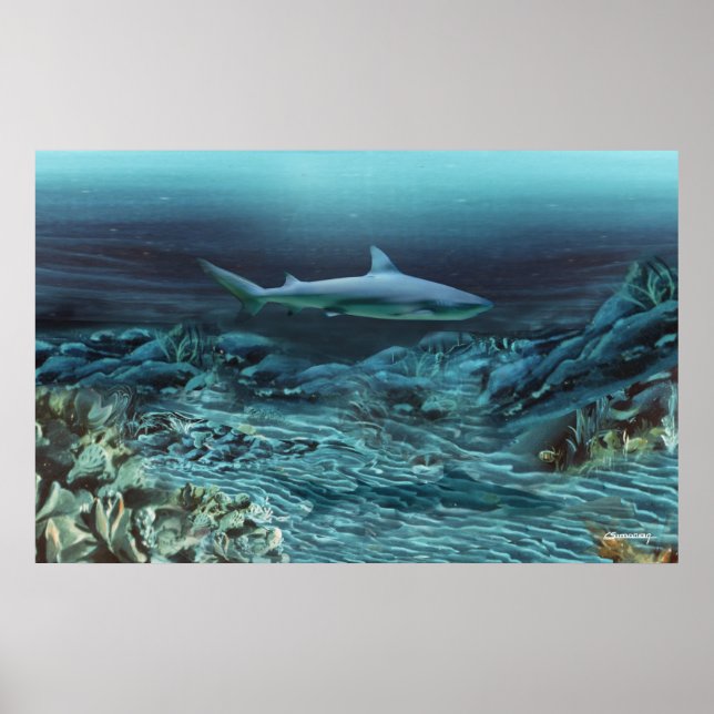 Póster Bajo el agua 1 (Frente)