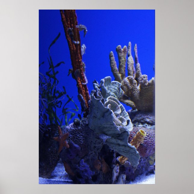 Póster Bajo el mar (Frente)