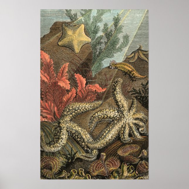 Póster Bajo el mar (Frente)