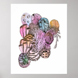 Póster Bajo el Mar 01