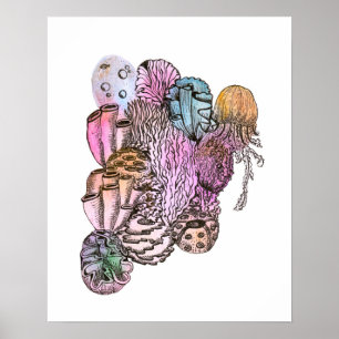 Póster Bajo el Mar 01