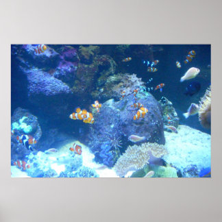 Póster Bajo el Poster marino