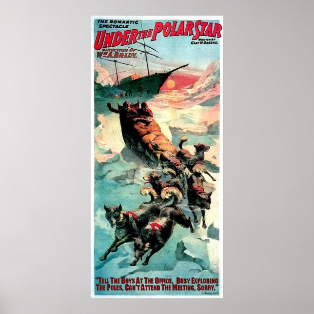 PÓSTER BAJO LA ESTRELLA POLAR (Frente)