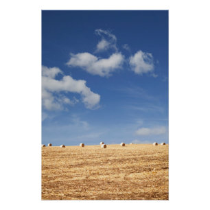 Póster Balas de heno en campo
