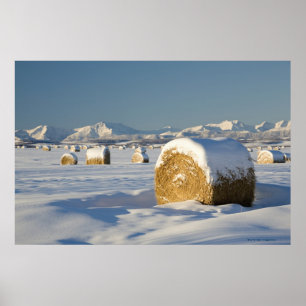 Póster Balas de heno nevadas