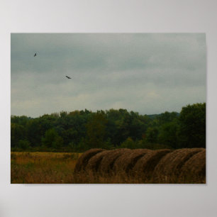 Póster Balas del país