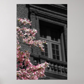 Póster Balcón floreciente