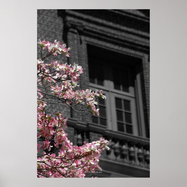 Póster Balcón floreciente (Frente)