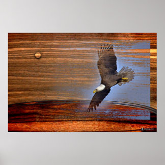PÓSTER BALD EAGLE