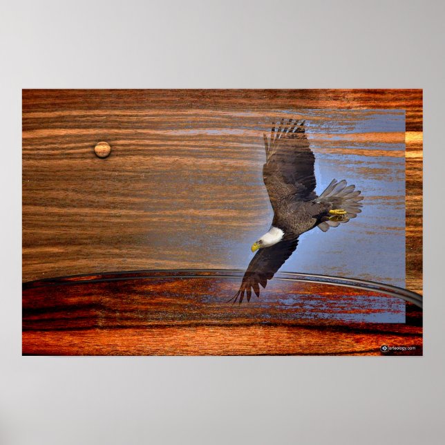 PÓSTER BALD EAGLE (Frente)