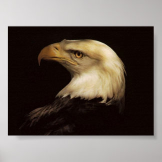 PÓSTER BALD EAGLE