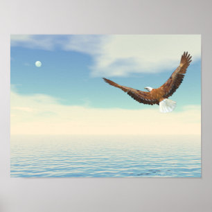 Póster Bald eagle flying upon the ocean to the moon