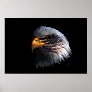 Póster Bald Eagle head with a American flag on his face