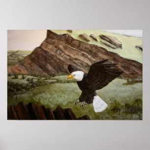 Póster Bald Eagle Poster
