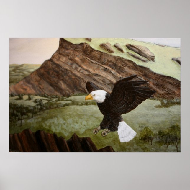 Póster Bald Eagle Poster (Frente)