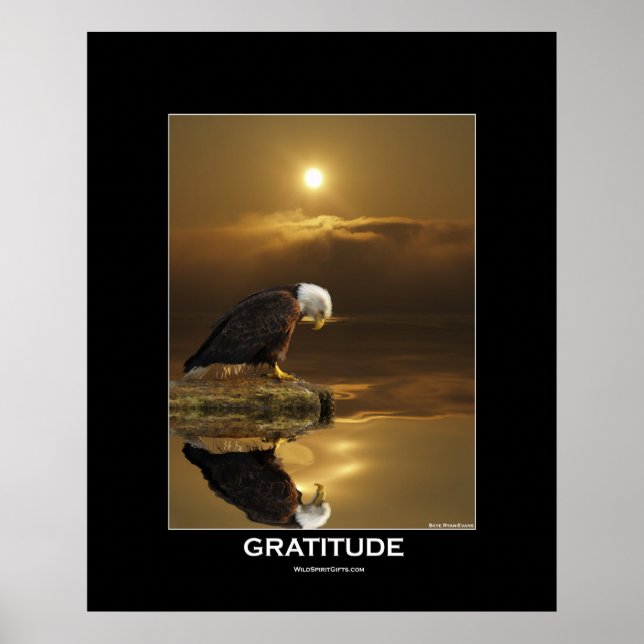 Póster Bald Eagle & Sunlight Poster (Frente)