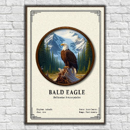 Póster Bald Eagle Zoology Series