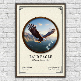 Póster Bald Eagle Zoology Series