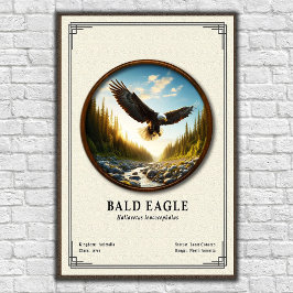 Póster Bald Eagle Zoology Series