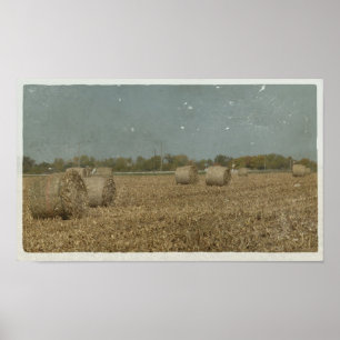 Póster Bales redondos