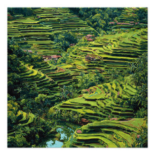 Póster Bali Indonesia Vibrantes terrazas de arroz verdes 