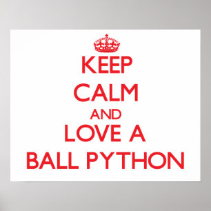 Póster Ball Python