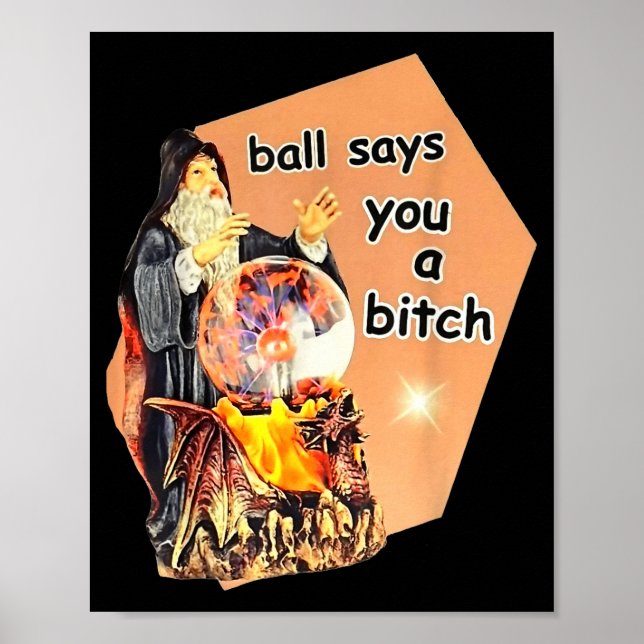 Póster Ball Says You A Btch Meme  (Frente)